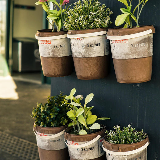 How to Care for Indoor Herbs-Comfort Plants