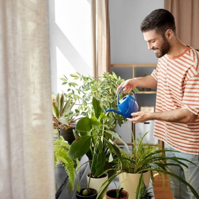 Smiling man watering flowers at home