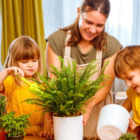 5 Indoor Plant Activities to Teach Kids About the Environment